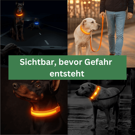 LumiNox – LED Leuchthalsband für maximale Sicherheit