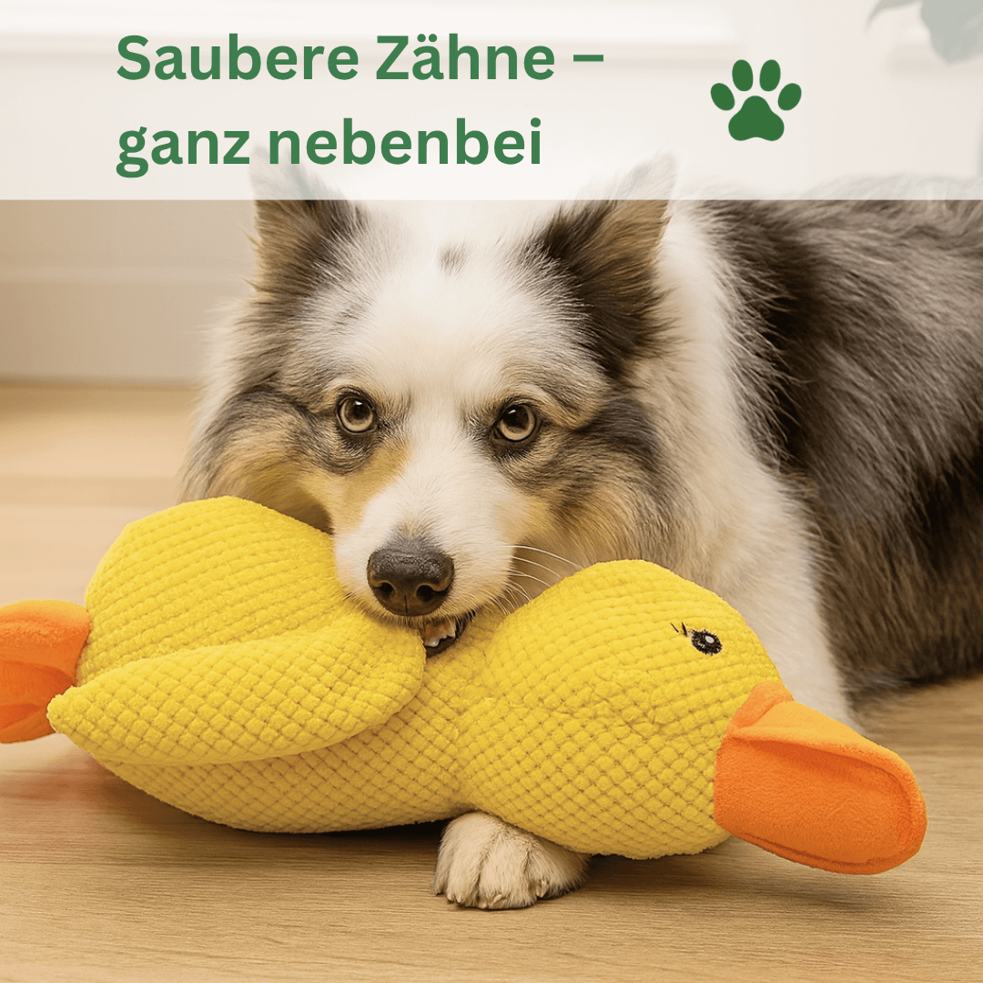 QuackNox™ – Das quietschende Entenspielzeug für Hunde