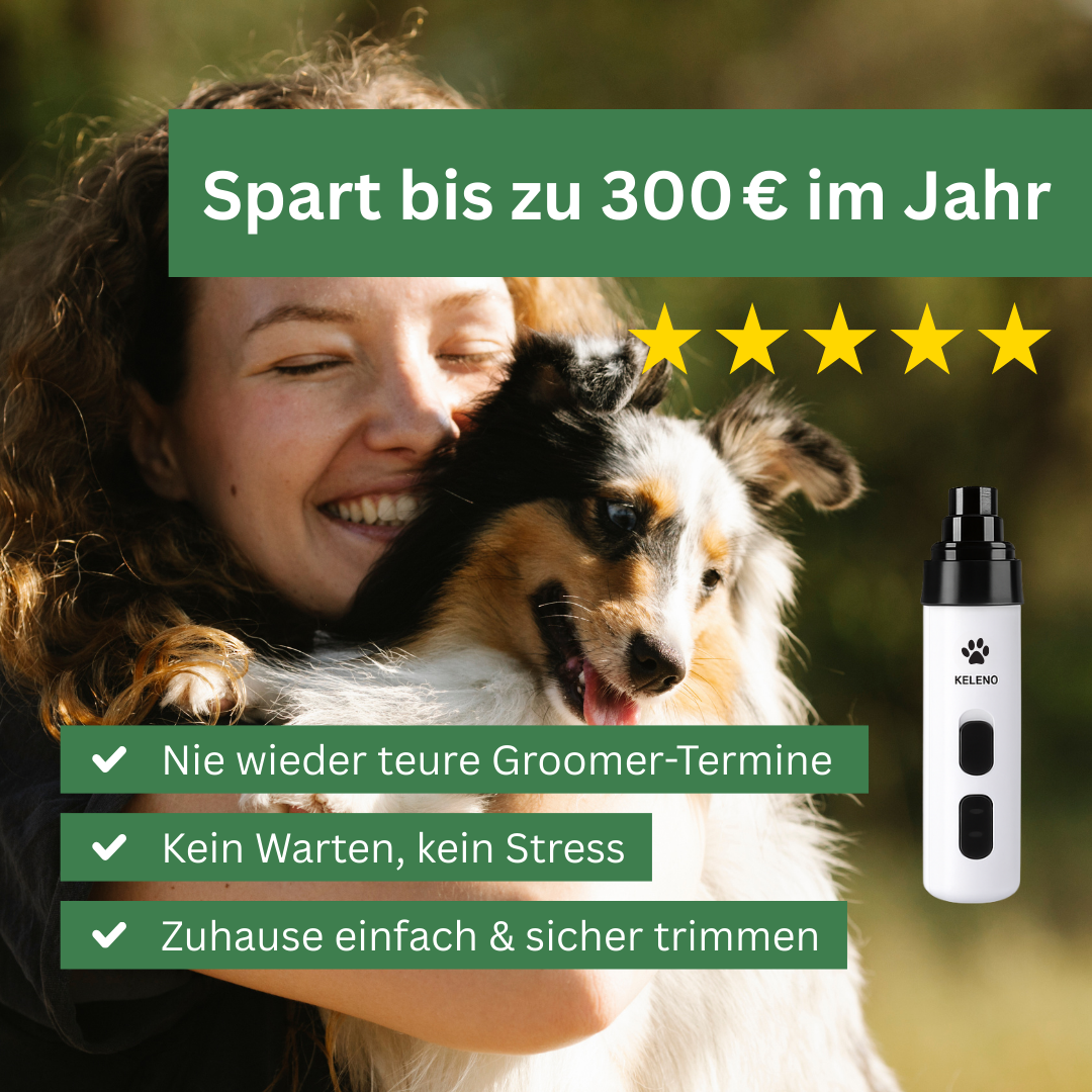 TrimNox™ Pro – Der leise Krallenschleifer für stressfreie Pflege
