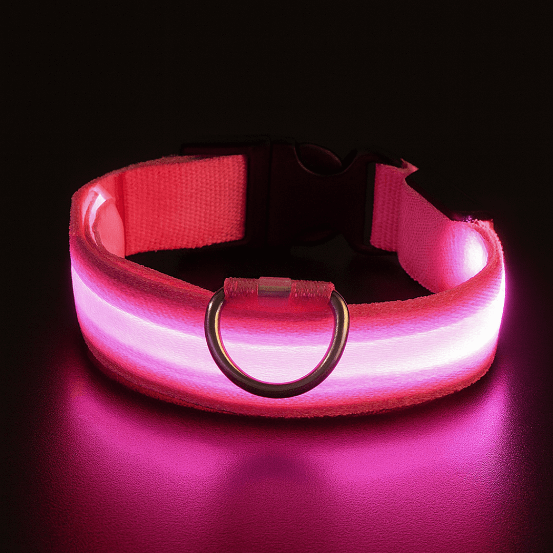 led hundehalsband farbe pink