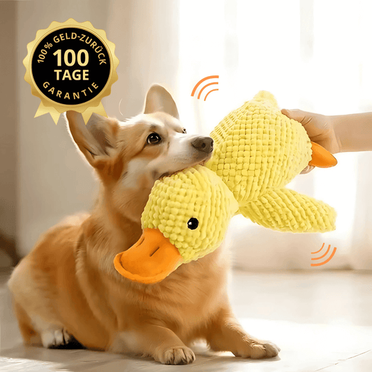 QuackNox™ – Das quietschende Entenspielzeug für Hunde