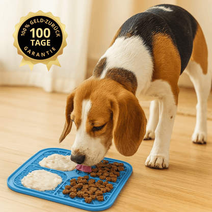 licknapf für hunde bei entspannter futteraufnahme im alltag