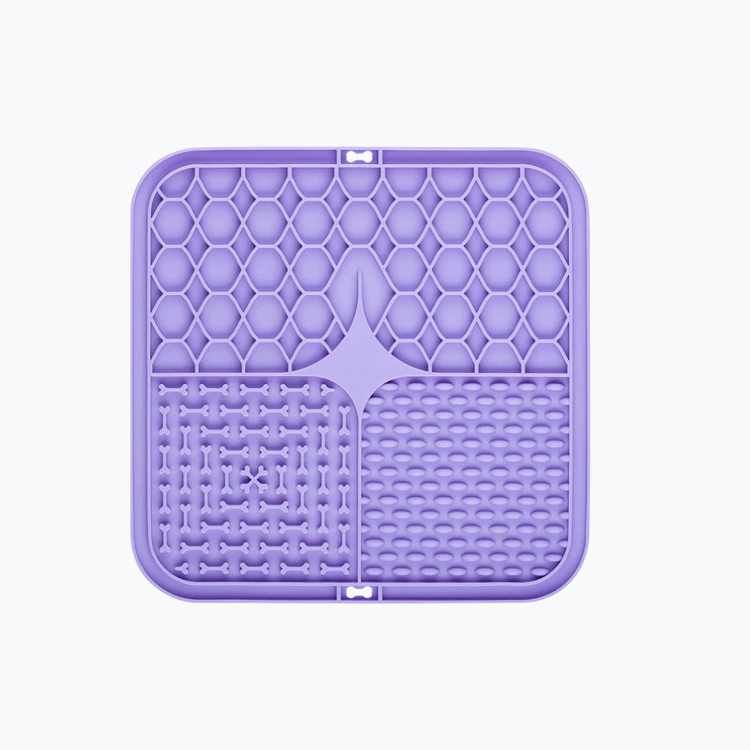 licknapf für hunde farbe lila