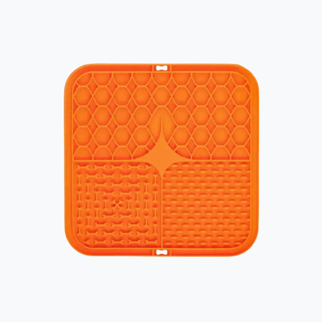 licknapf für hunde farbe orange