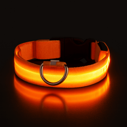 leuchtendes led hundehalsband luminox orange