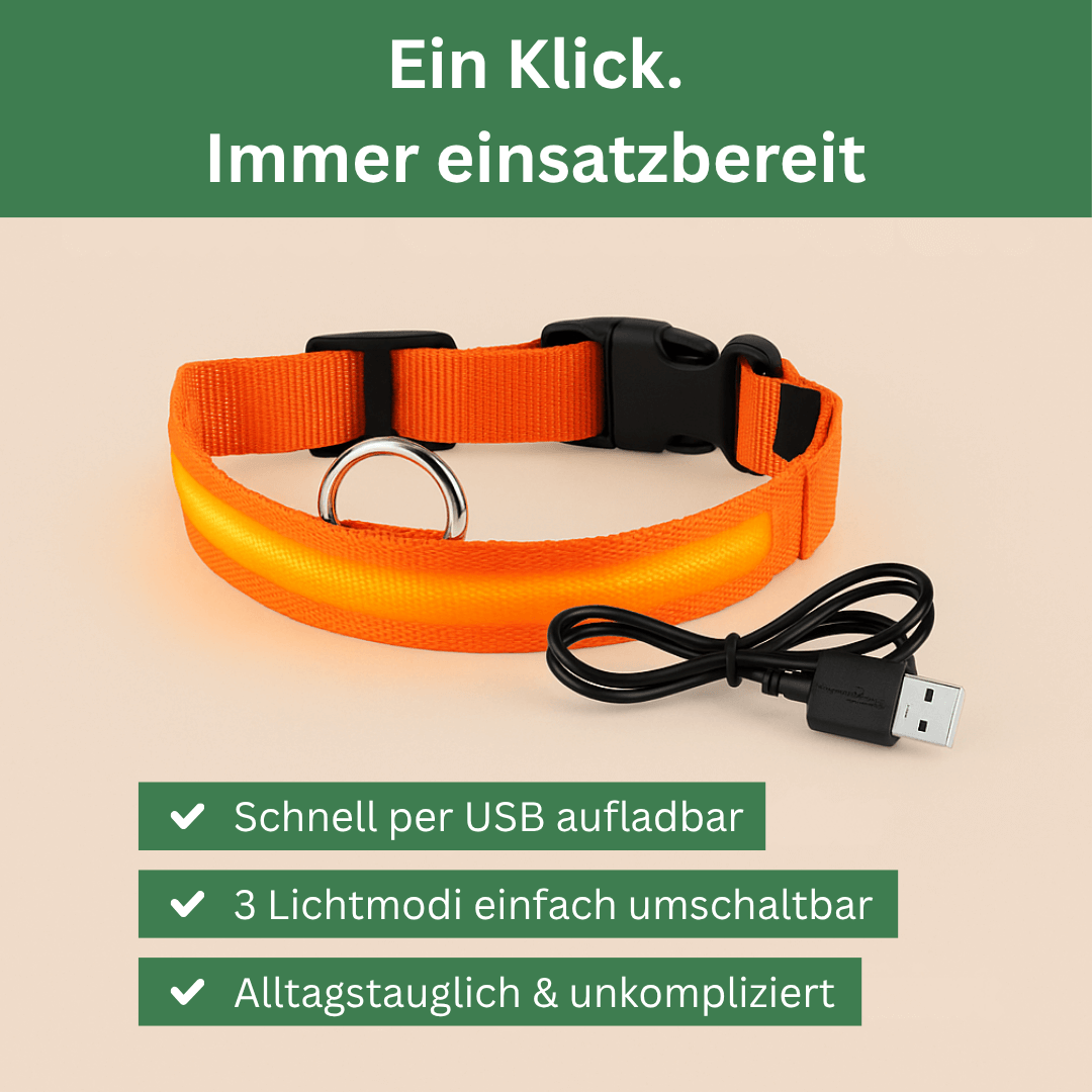 led hundehalsband mit einfacher bedienung per knopfdruck
