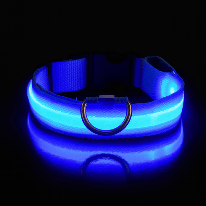 led hundehalsband farbe blau