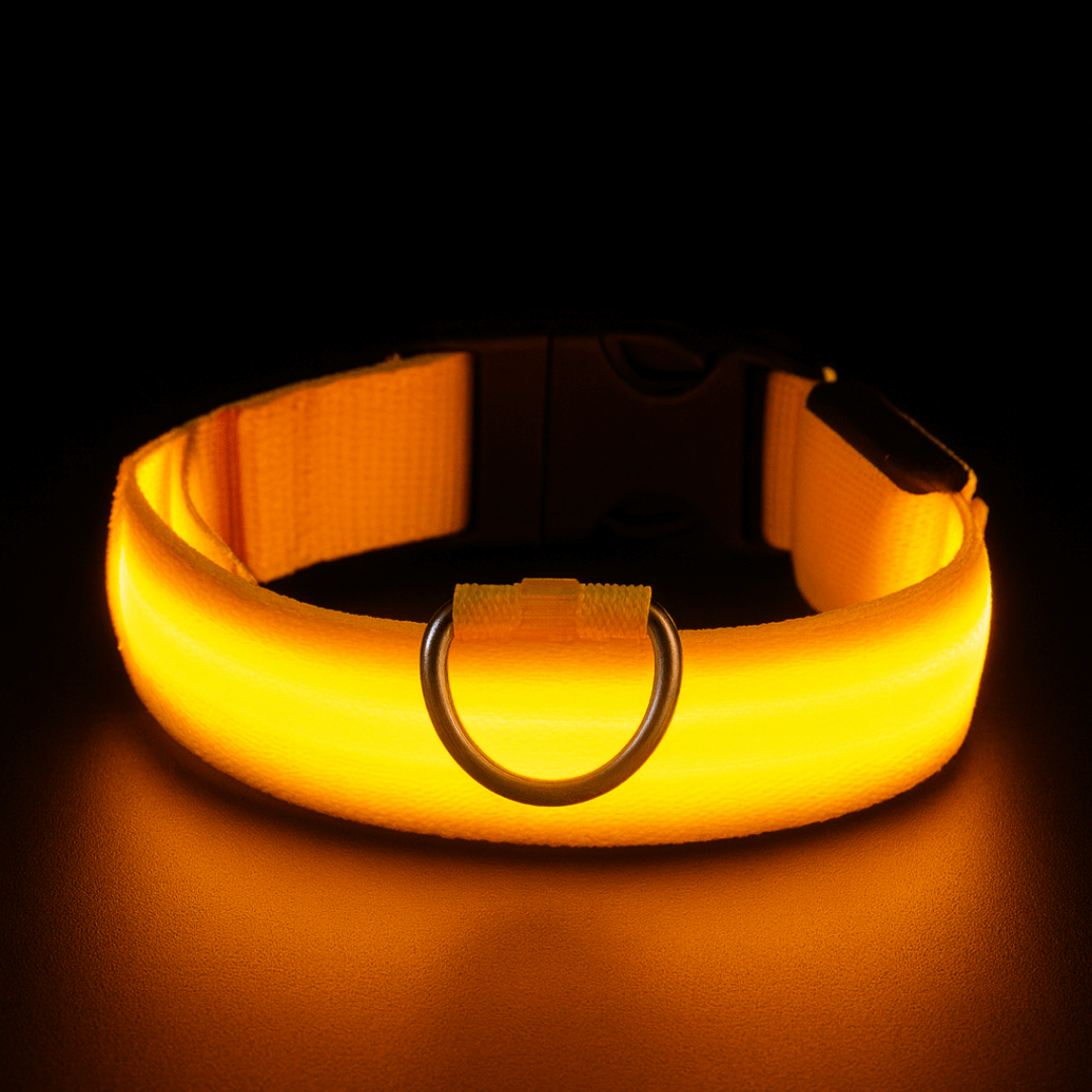 led hundehalsband farbe gelb