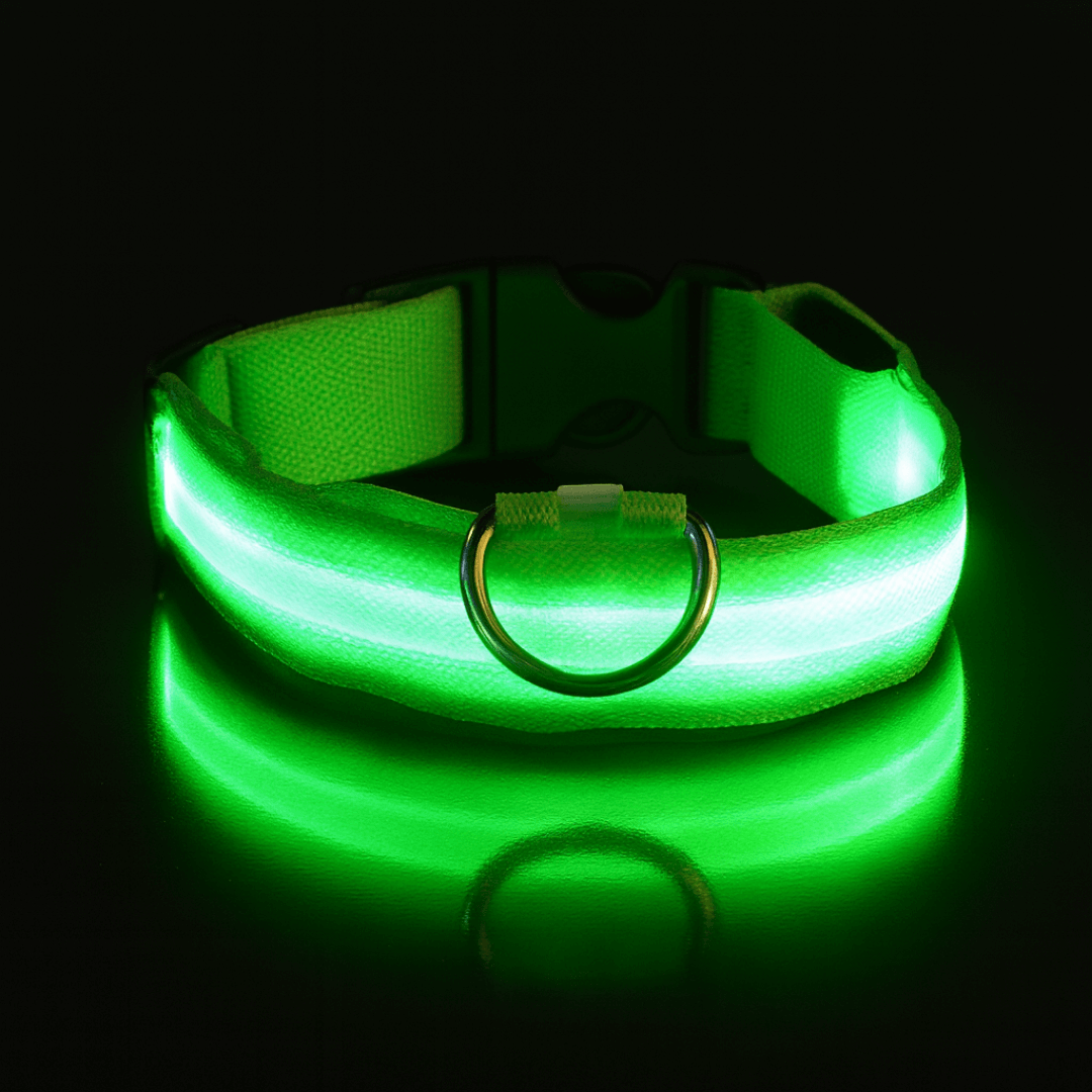 led hundehalsband farbe gruen