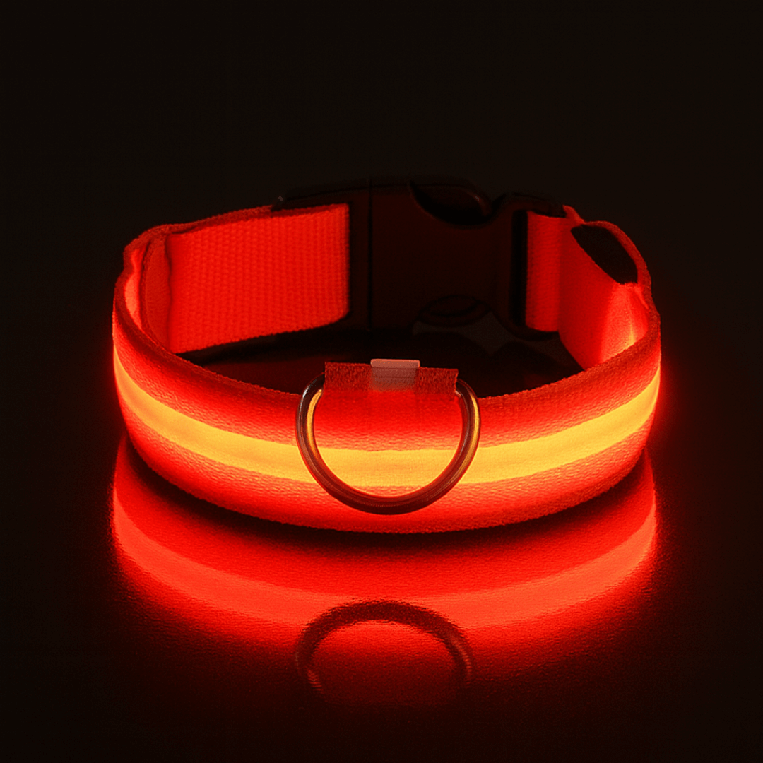 led hundehalsband farbe rot