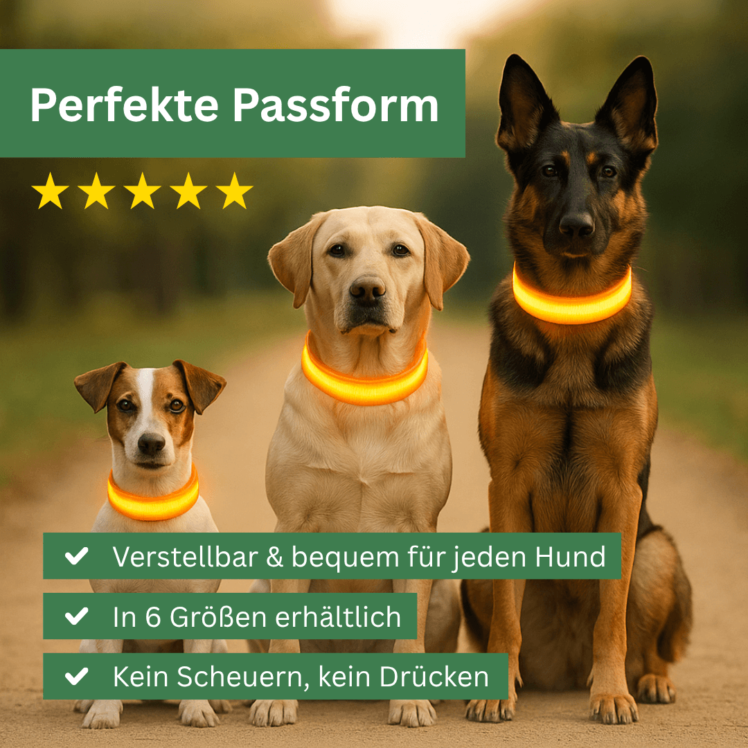 led hundehalsband mit verstellbarer passform fuer alle hundegroessen