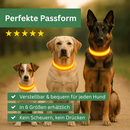 led hundehalsband mit verstellbarer passform fuer alle hundegroessen