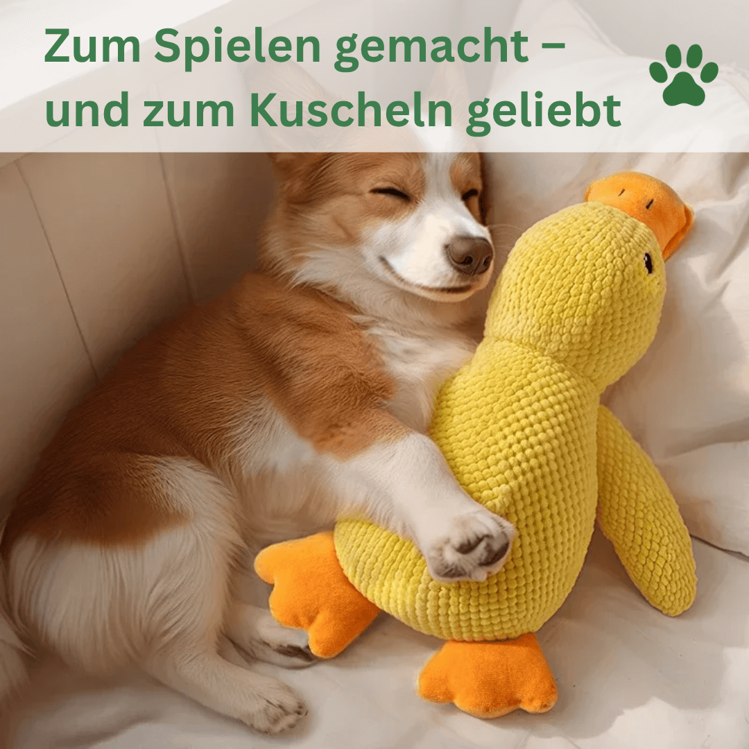 Quietschendes Entenspielzeug für Hunde Entspannung und Kuscheln