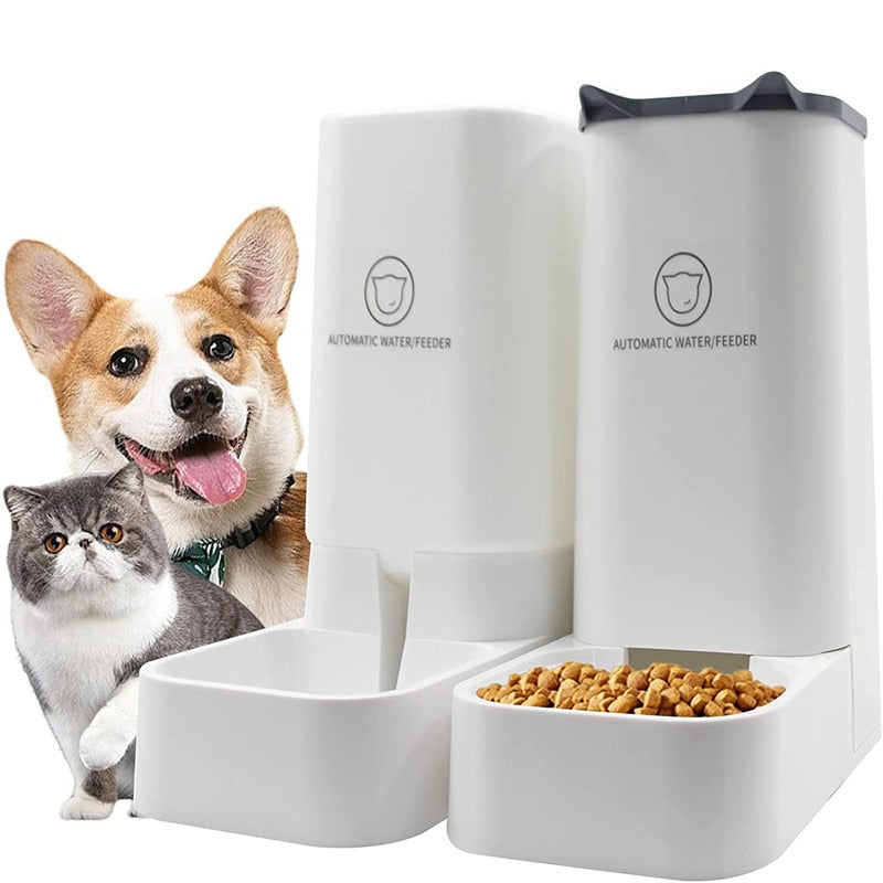 Distributeur croquette & eau grande capacité 3,8L