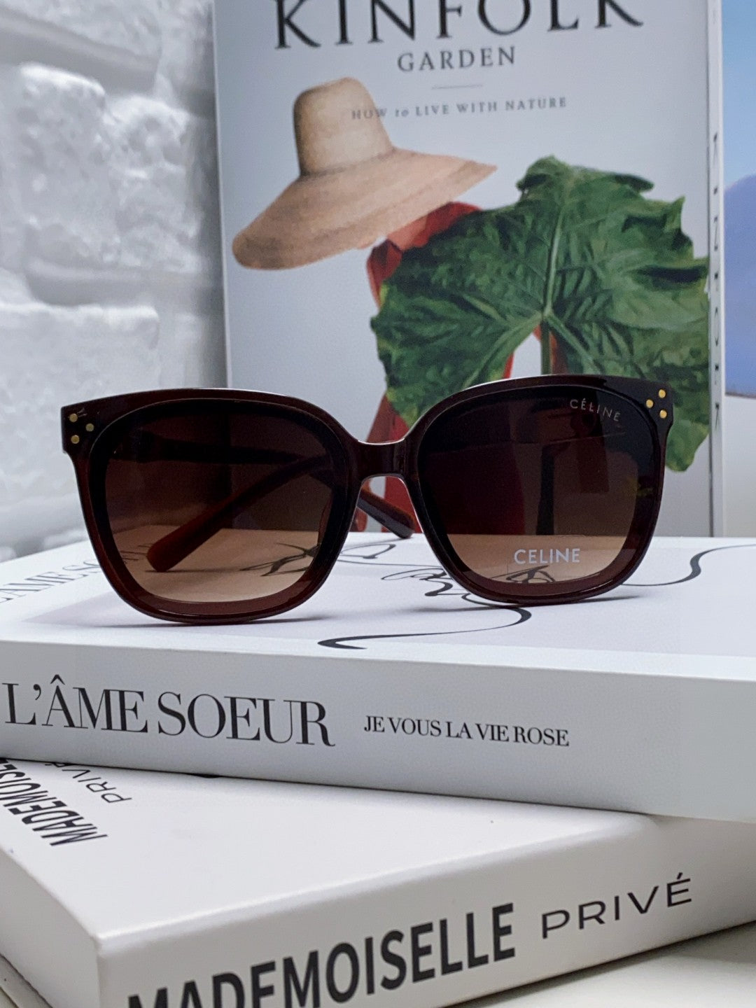 TRIOMPHE SUNGLASSES 573248 IN BROWN ACETATE METAL LOGO